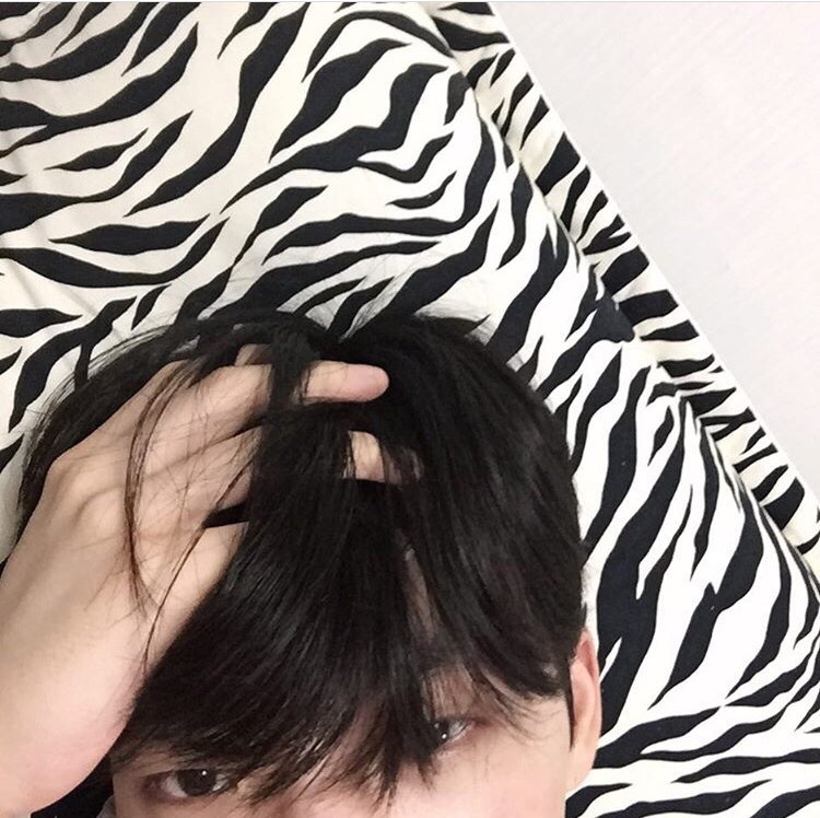 萧瑶韦君