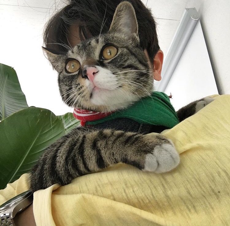 黄兰成宏
