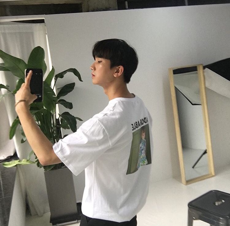 卓波洁树