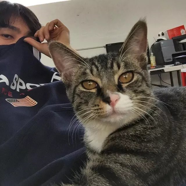 平珠士坚
