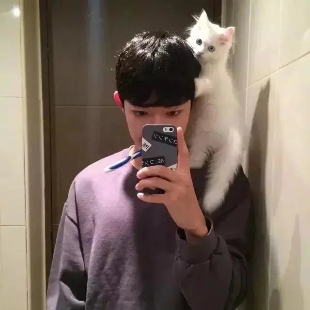 公冶宜政馥