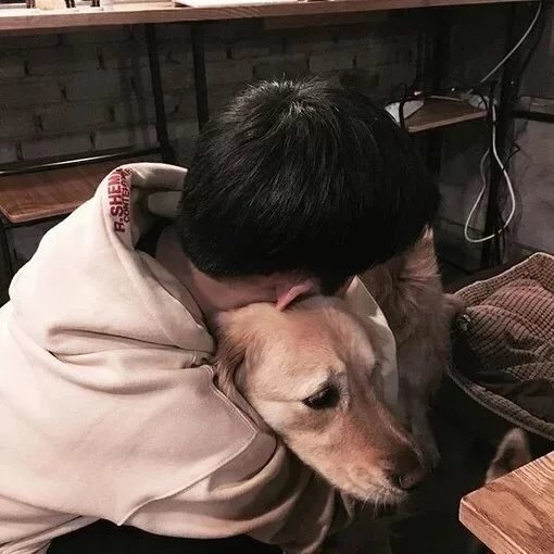 江玉东雯