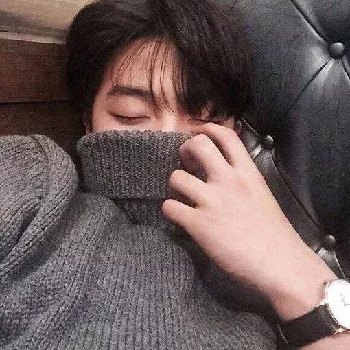 苏宝紫新