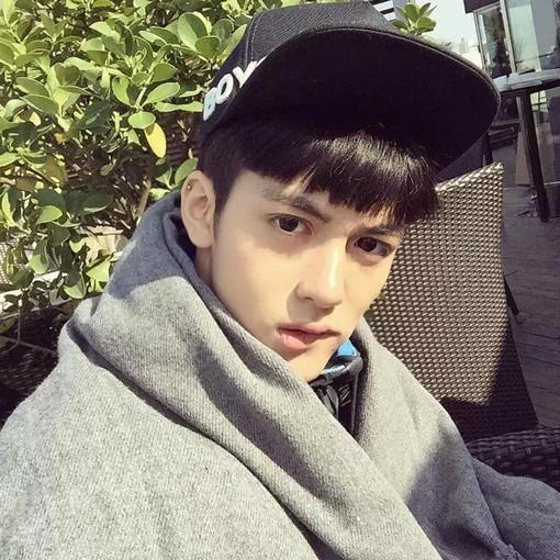 张忠晨君