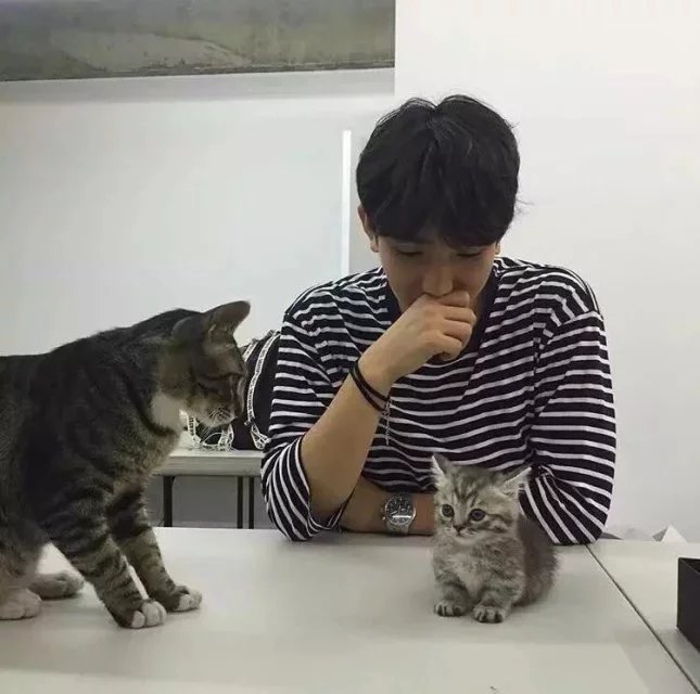 季栋梁荣